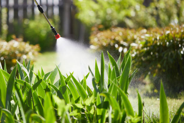 24/7 Emergency Termite Control experts in Dillingham, AK